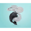 Picture of HOROSCOPE KEYRING - PISCES